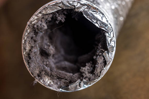 Best Air Duct Sanitizing Services  in Zeeland, MI