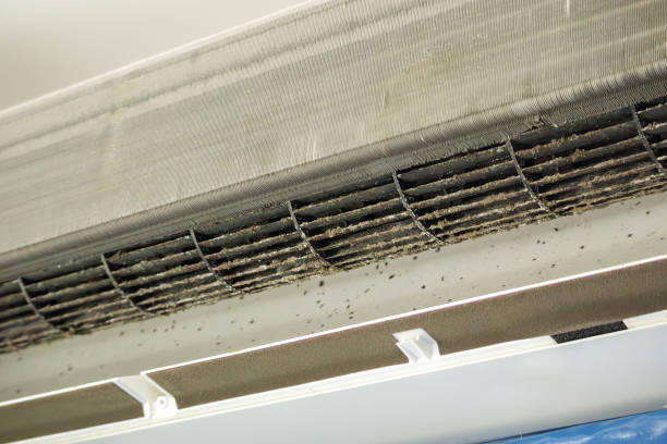 Best Duct Cleaning for Homes  in Zeeland, MI